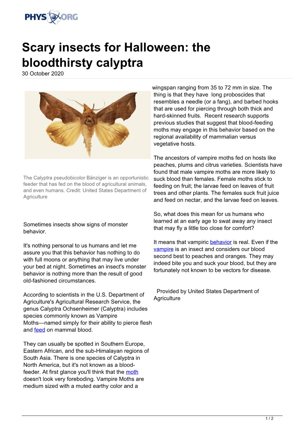 Scary Insects for Halloween: the Bloodthirsty Calyptra 30 October 2020