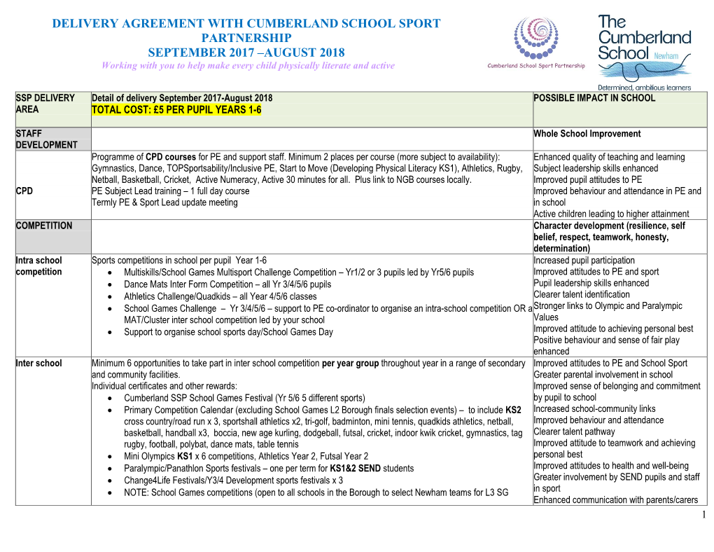 Cumberland SSP Delivery Options