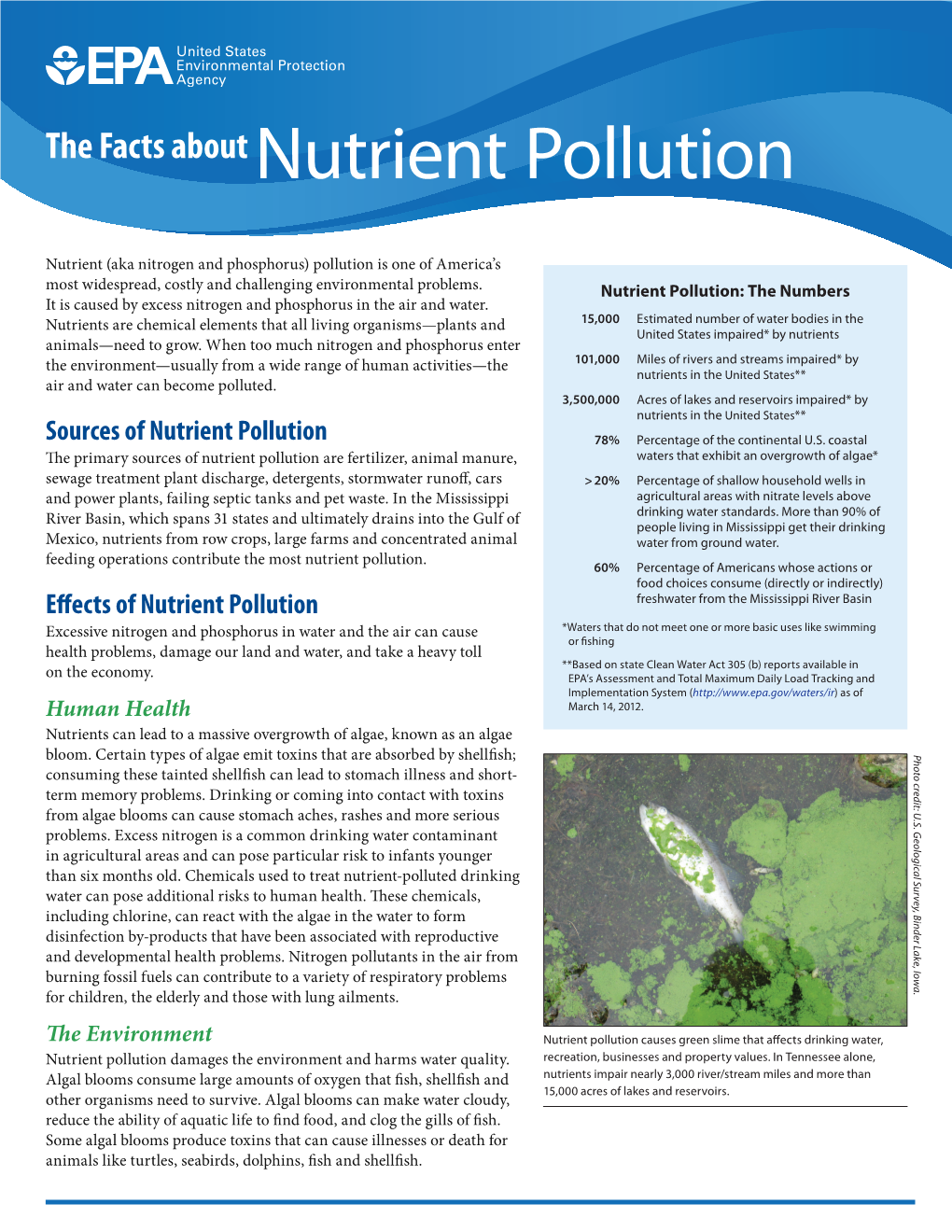 Nutrient Pollution