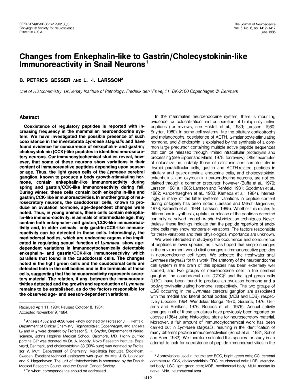 Changes from Enkephalin-Like to Gastrin/Cholecystokinin-Like Lmmunoreactivity in Snail Neurons’