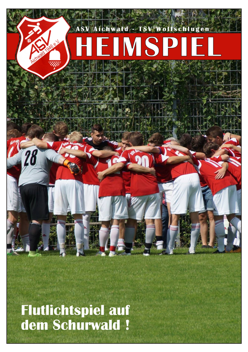 Stadionheft-Vs.-TSV-Wolfschlugen.Pdf