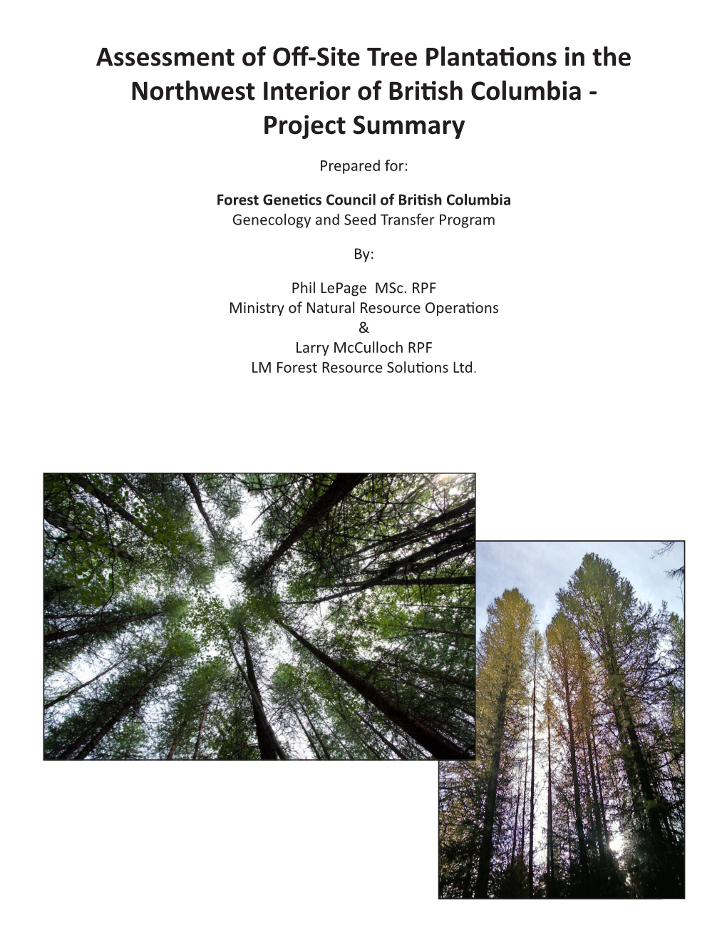 Assessment of Off-Site Tree Plantations in the Northwest Interior of British Columbia - Project Summary