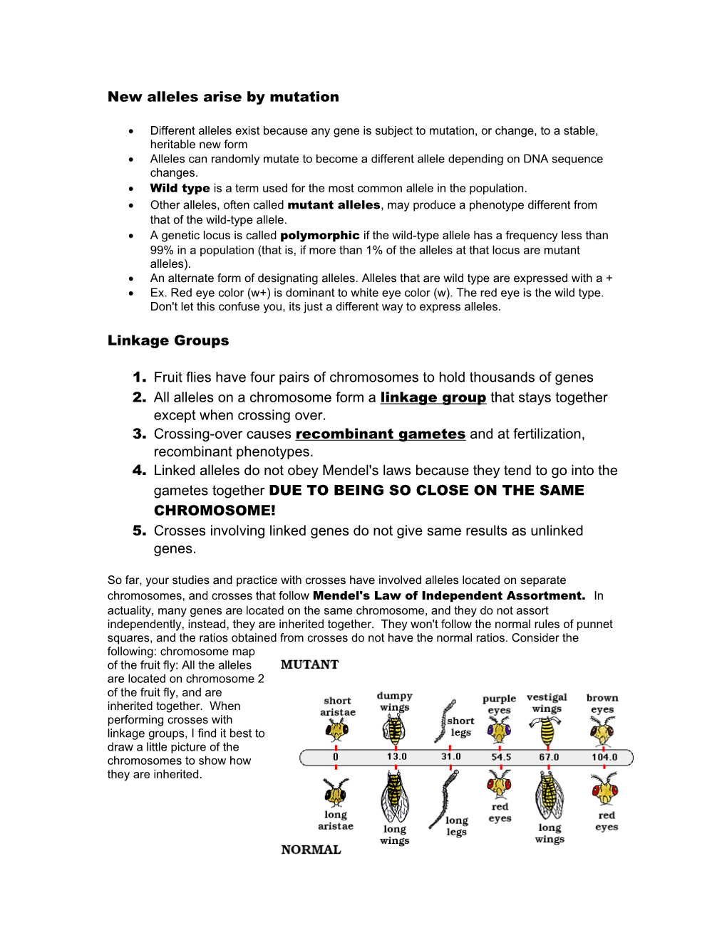 New Alleles Arise by Mutation