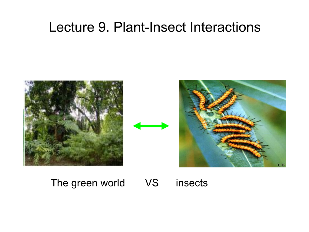 Lecture 9. Plant-Insect Interactions