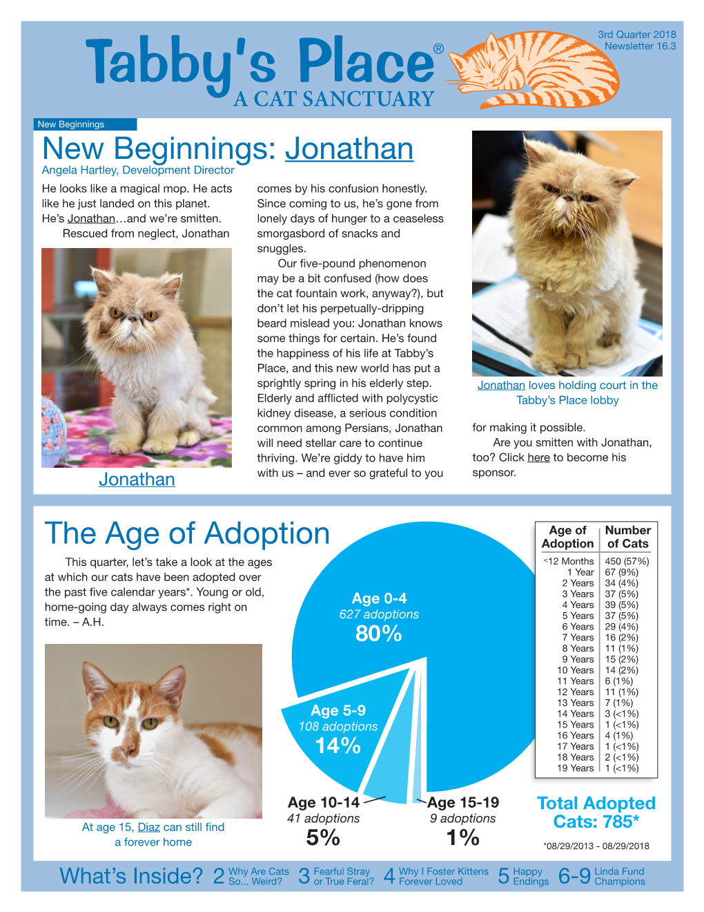 A CAT SANCTUARY New Beginnings New Beginnings: Jonathan Angela Hartley, Development Director He Looks Like a Magical Mop