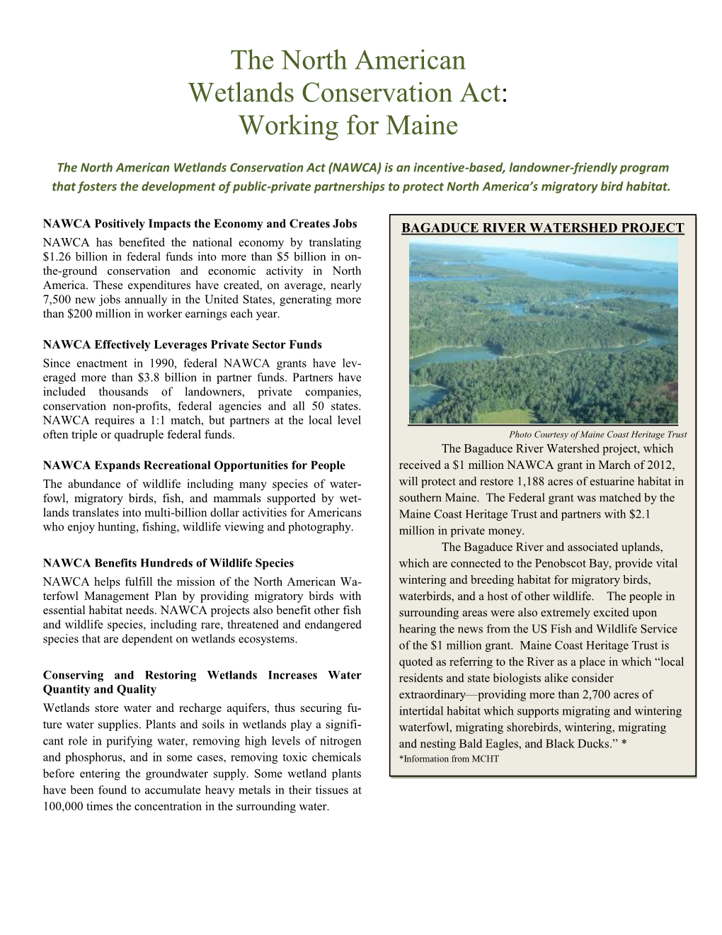 The North American Wetlands Conservation Act: Working for Maine