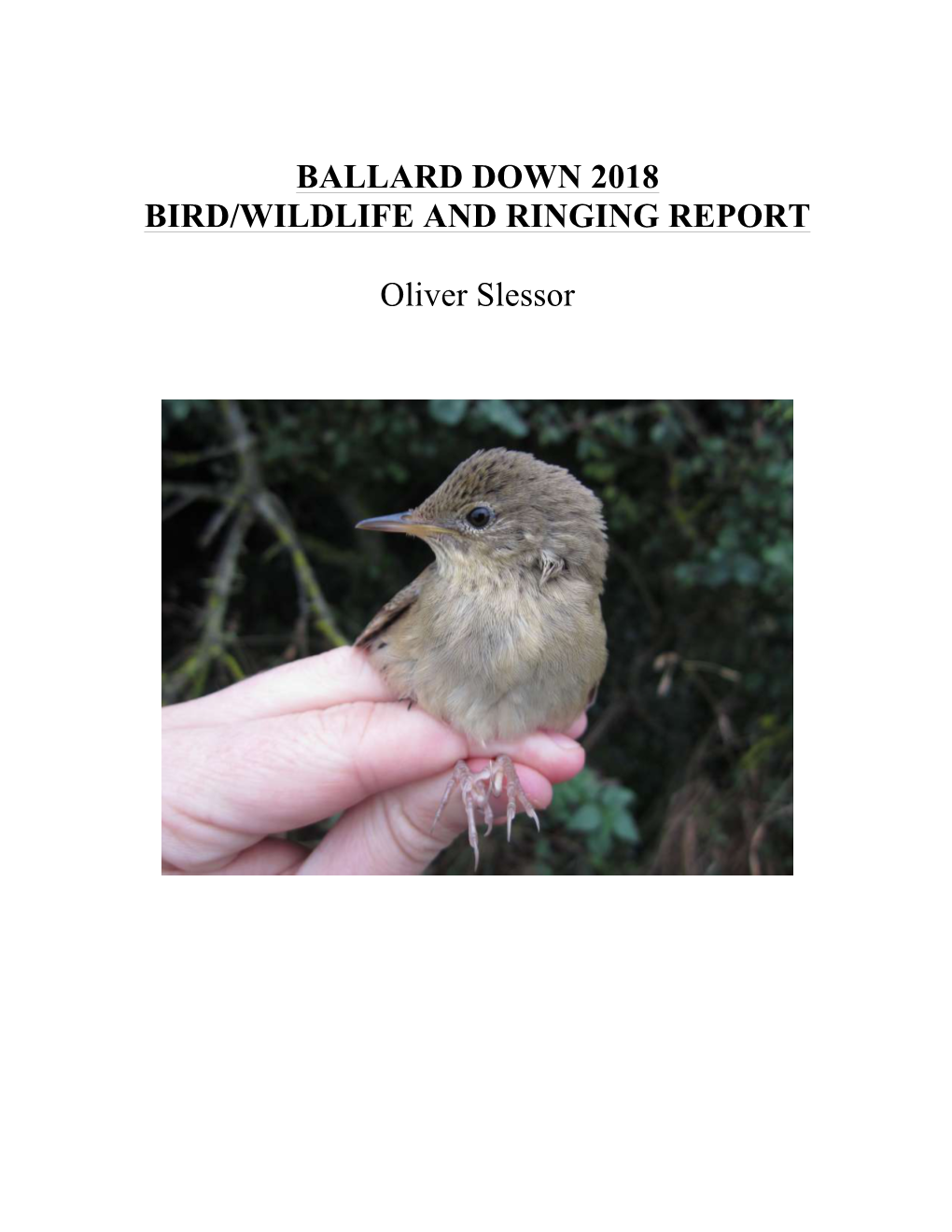Ballard Down 2018 Bird/Wildlife and Ringing Report