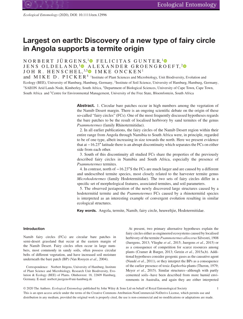 Discovery of a New Type of Fairy Circle in Angola Supports a Termite Origin