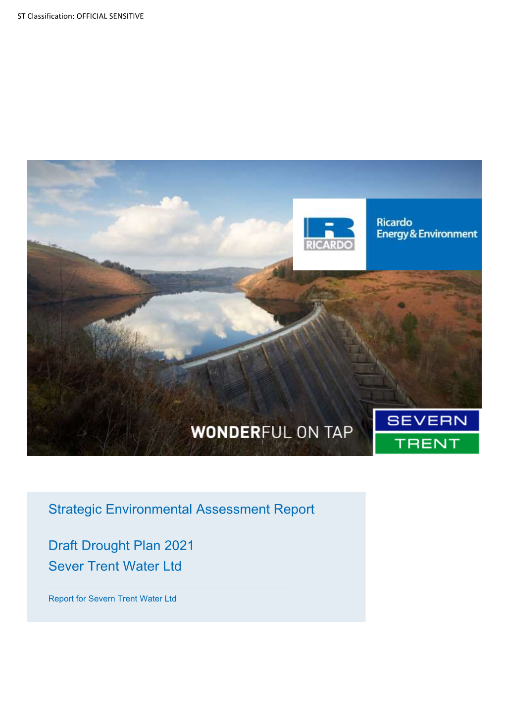 Strategic Environmental Assessment Report