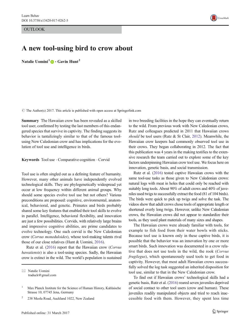 A New Tool-Using Bird to Crow About