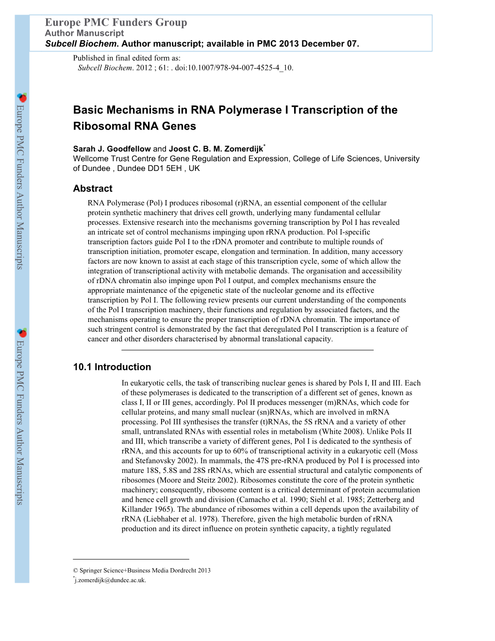 Basic Mechanisms in RNA Polymerase I Transcription of the Ribosomal RNA Genes