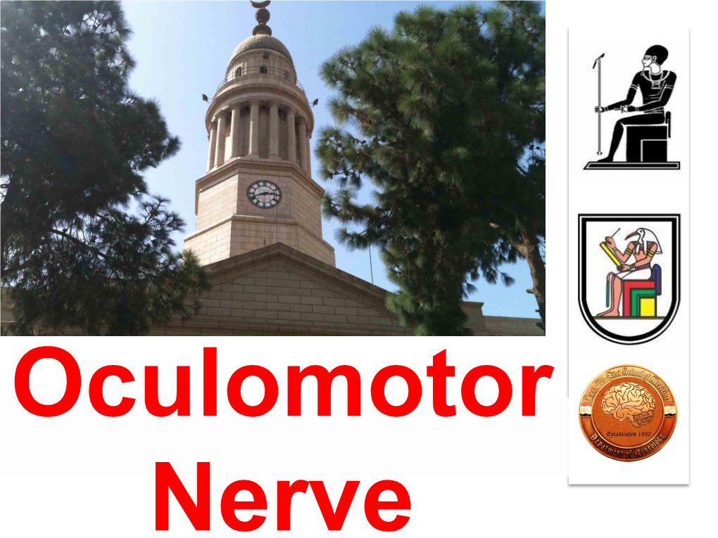 Oculomotor Nerve NOTE: to Change the Image on This Slide, Select the Picture and Delete It