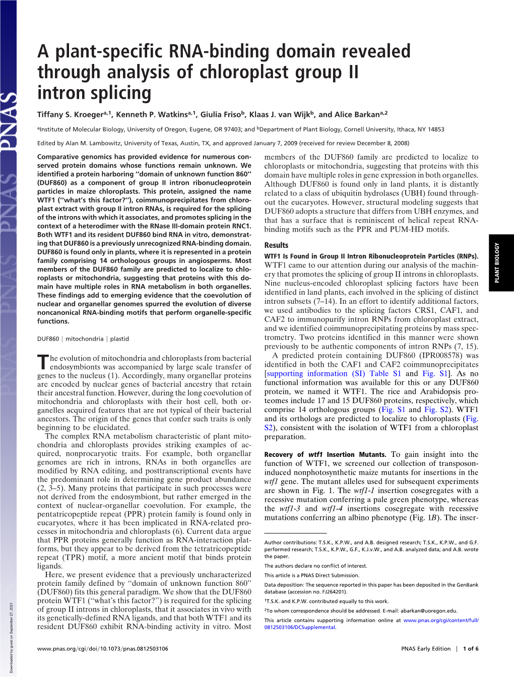 A Plant-Specific RNA-Binding Domain Revealed Through Analysis of Chloroplast Group II Intron Splicing