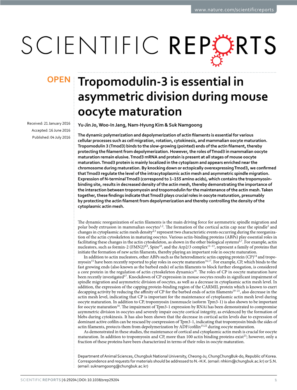 Tropomodulin-3 Is Essential in Asymmetric Division During Mouse