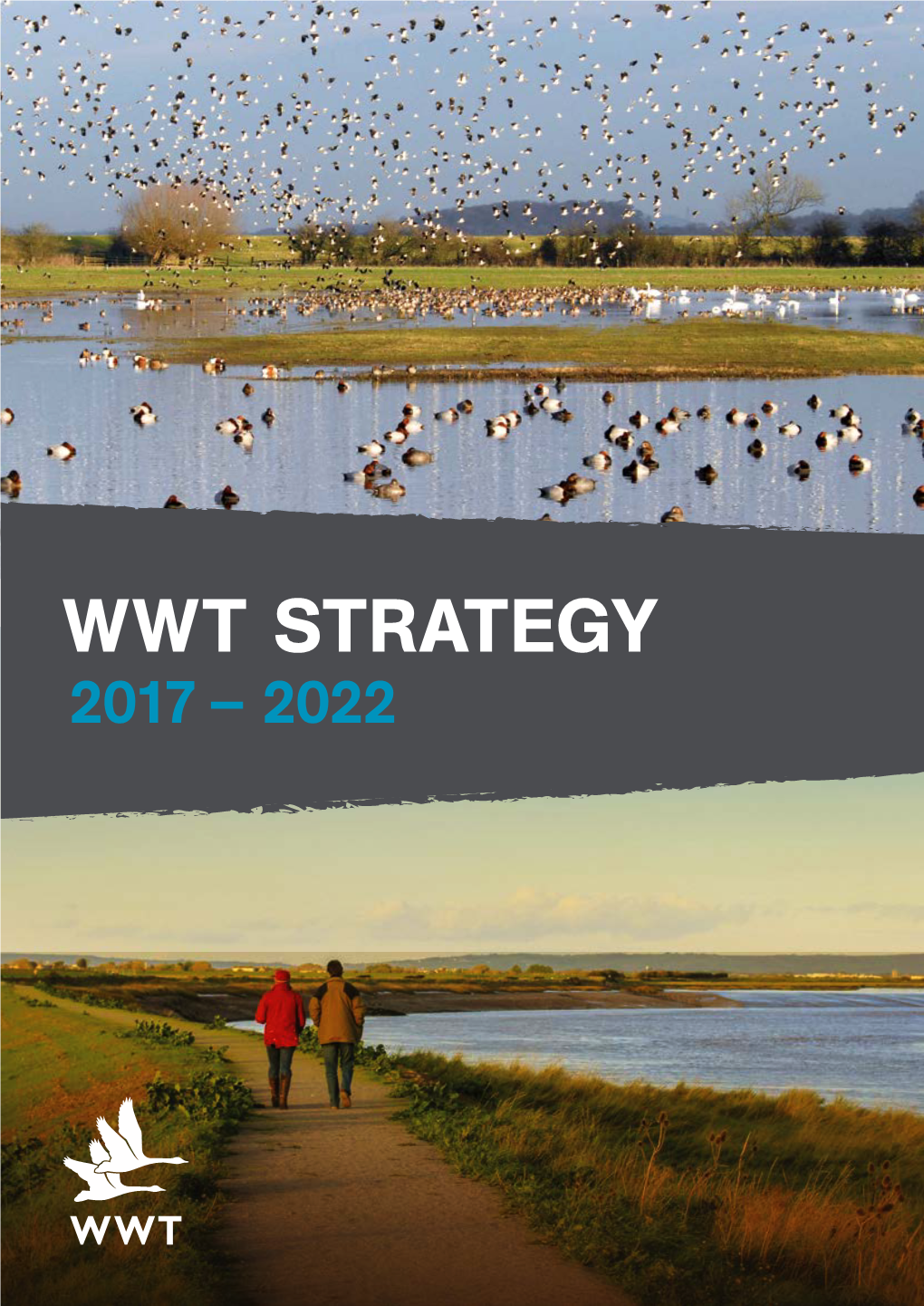 WWT STRATEGY 2017 – 2022 WWT London Wetland Centre OUR VISION a World Where Healthy Wetland Nature Thrives and Enriches Lives