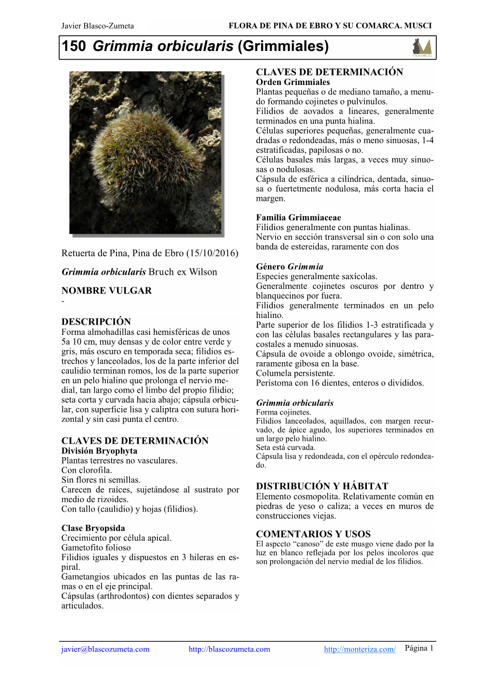 150 Grimmia Orbicularis (Grimmiales)