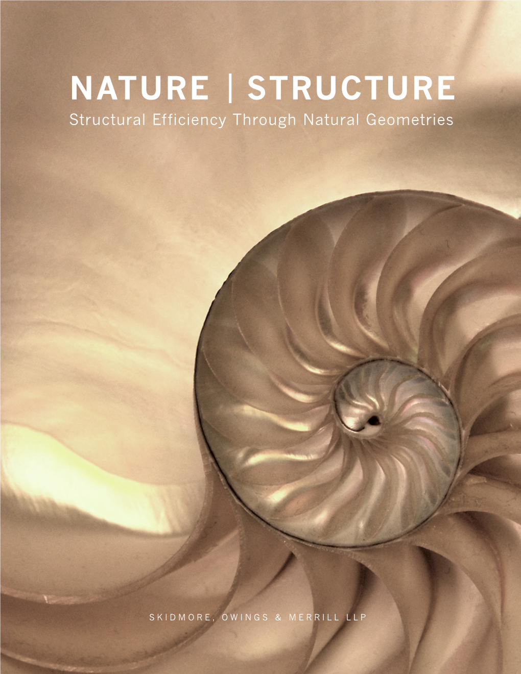 Nature Structure Structural Efficiency Through Natural Geometries