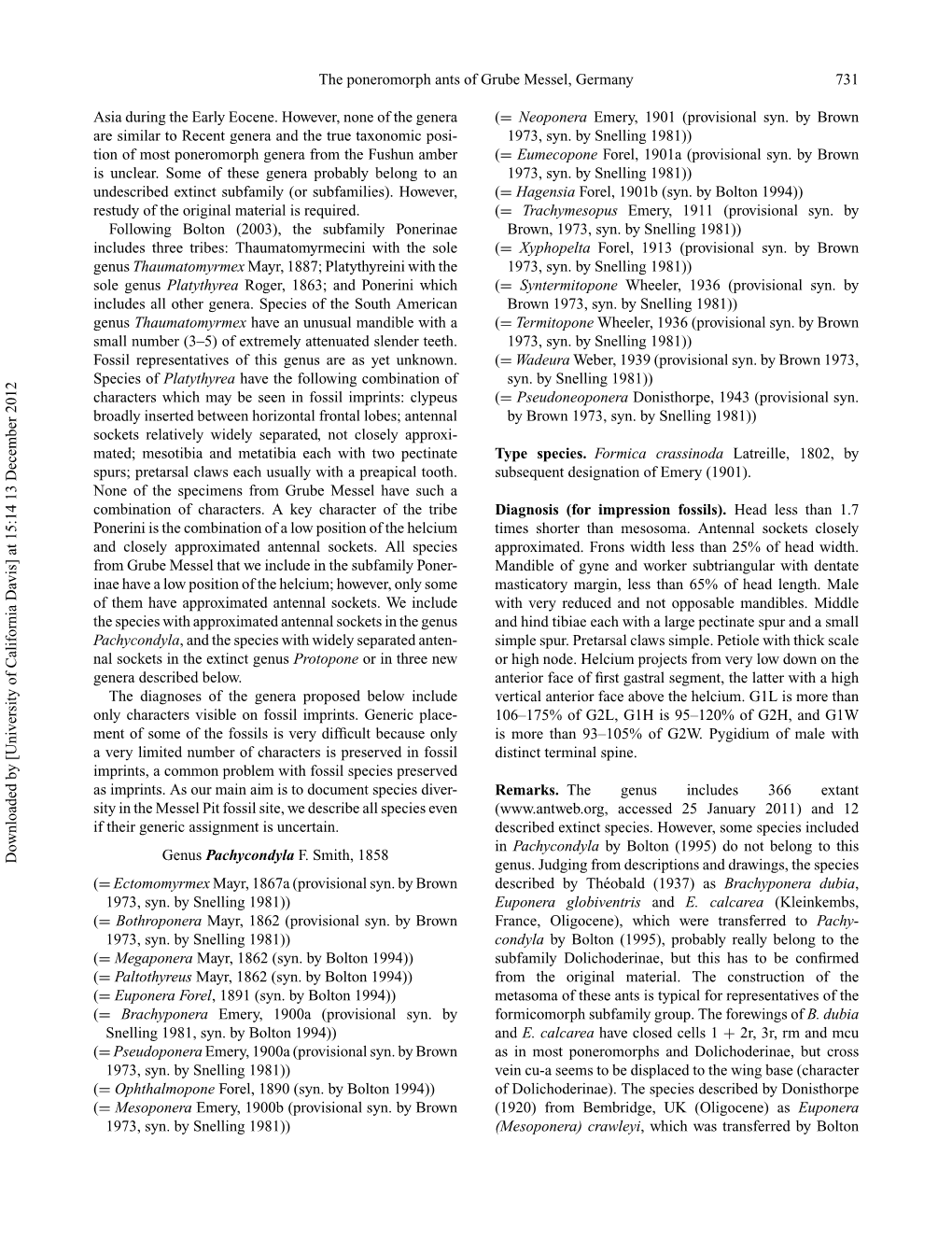 The Poneromorph Ants (Hymenoptera