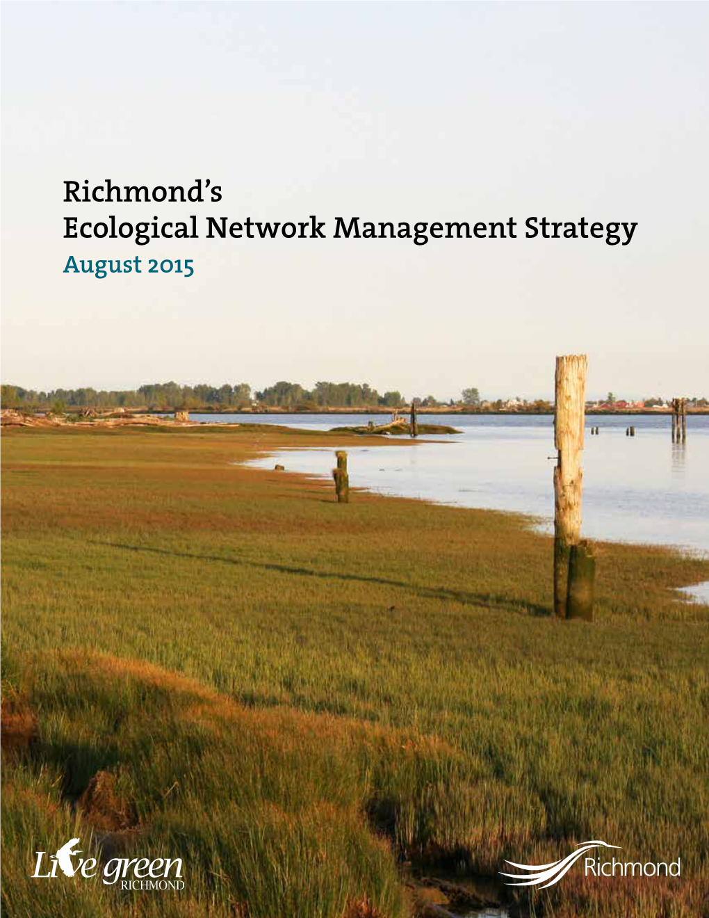 Ecological Network Management Strategy I