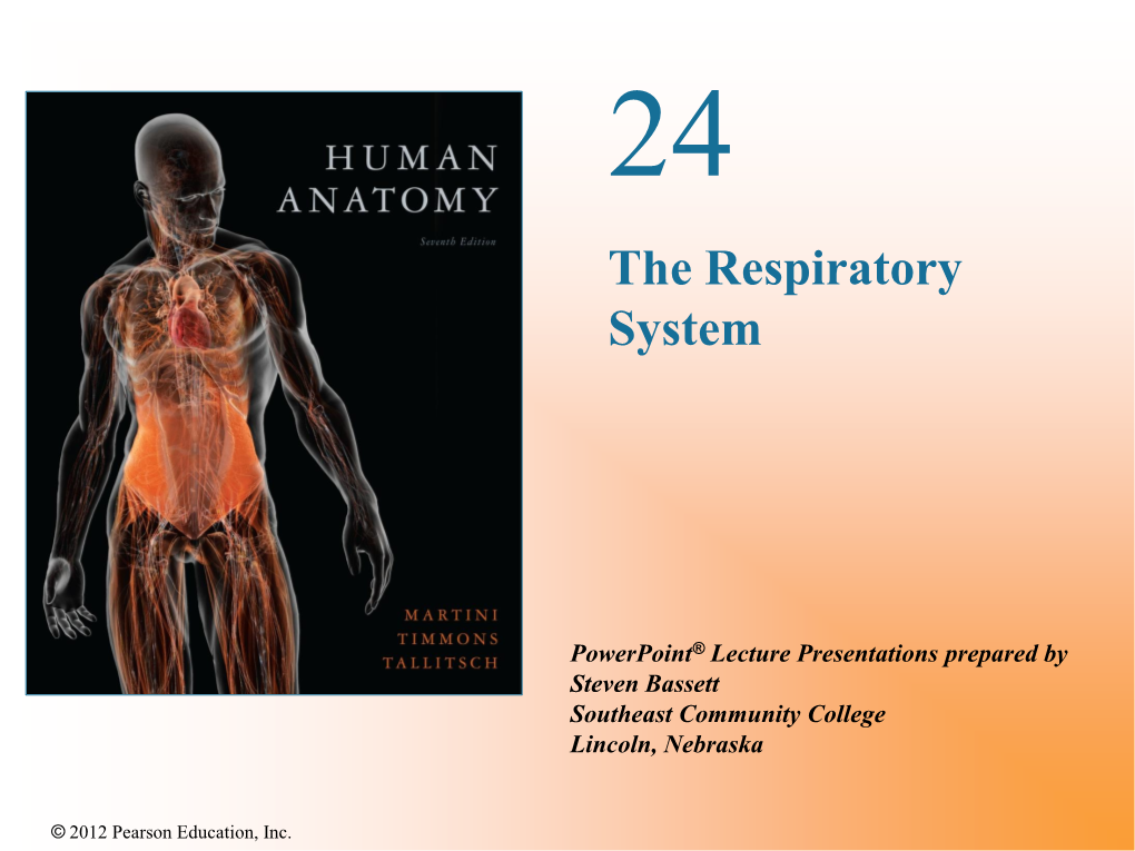 The Respiratory System