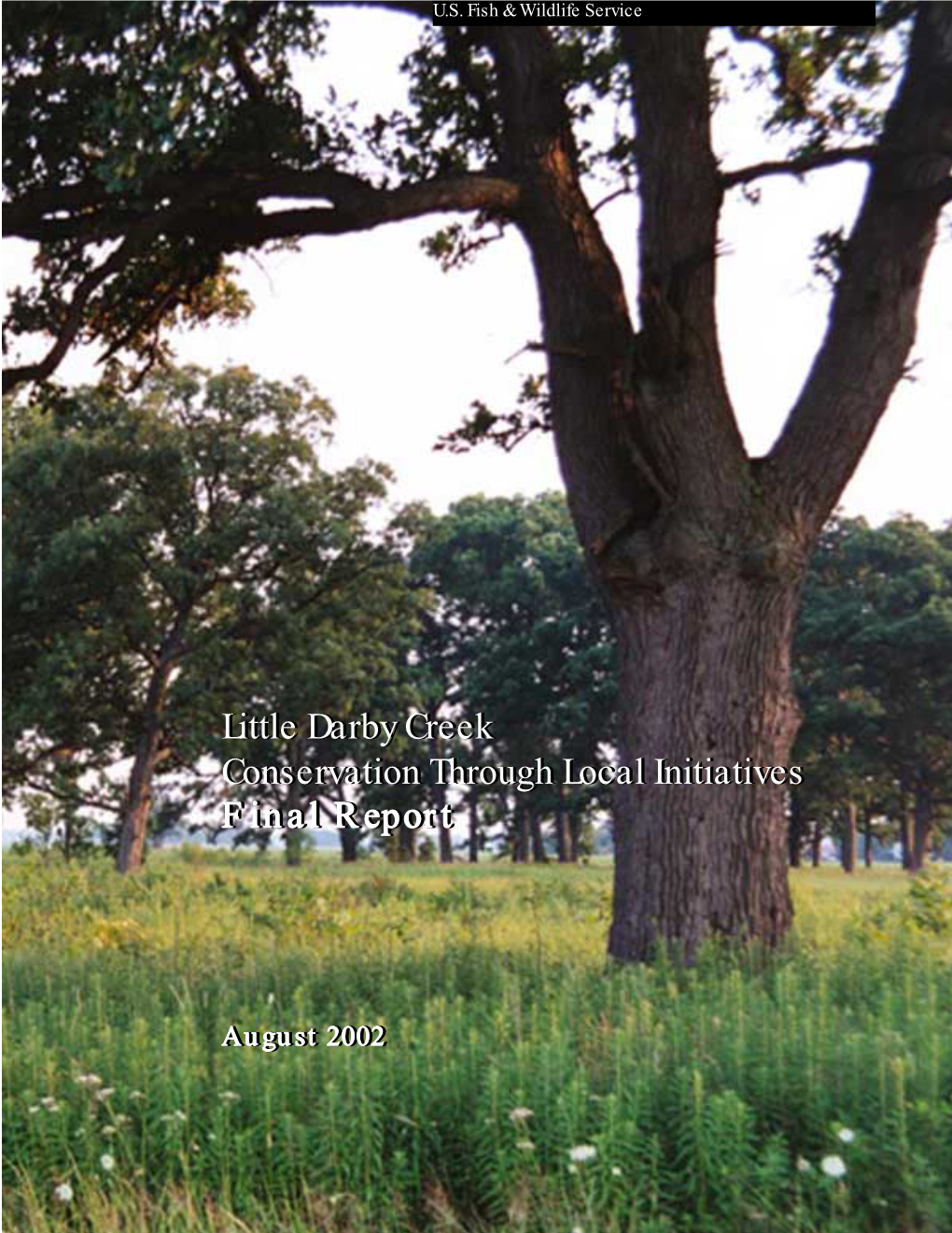 Little Darby Creek Conservation Through Local Initiatives Final Report