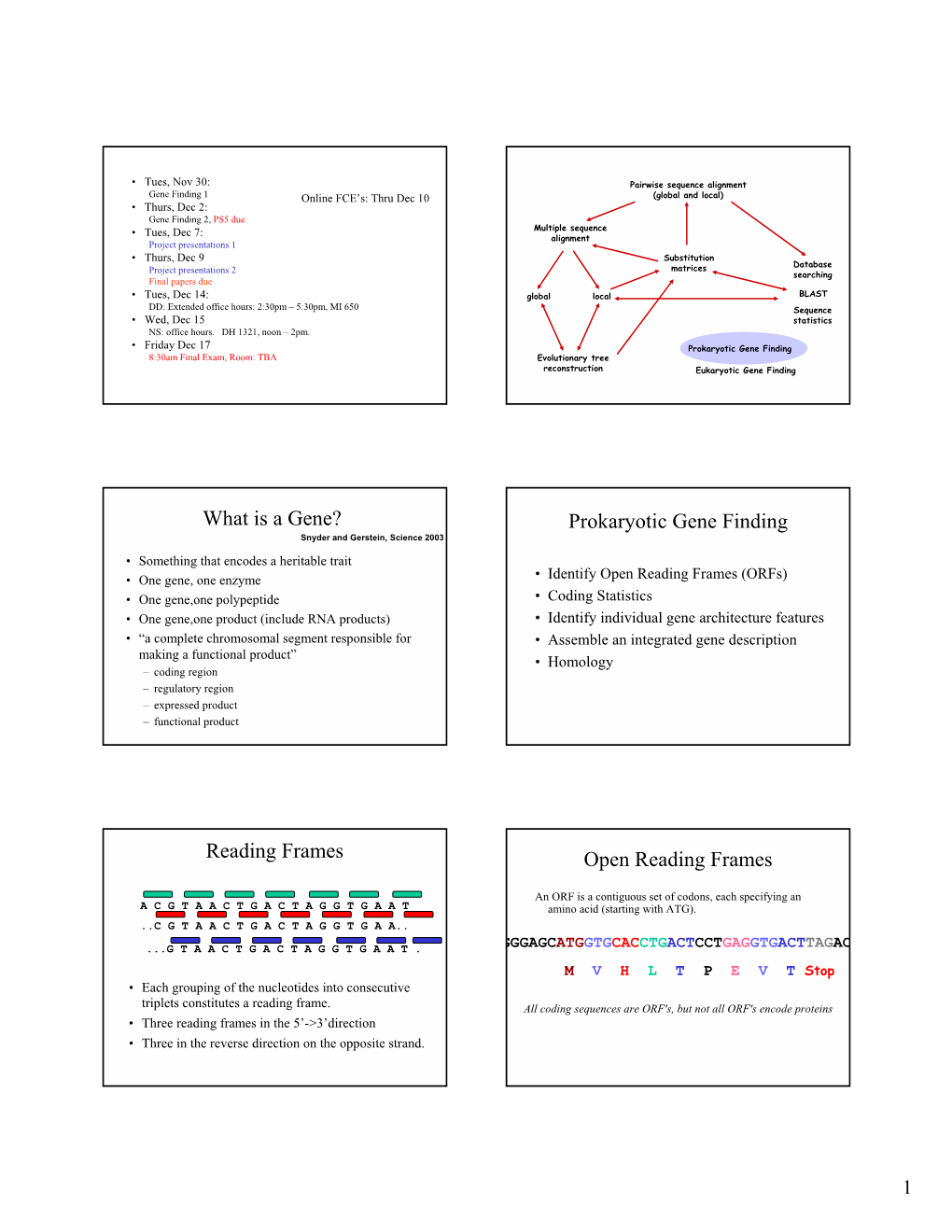 What Is a Gene? Prokaryotic Gene Finding Reading Frames Open