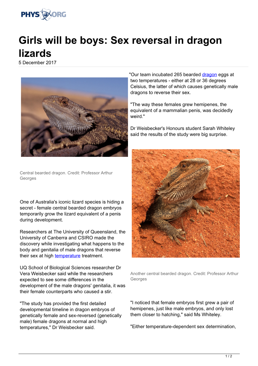Sex Reversal in Dragon Lizards 5 December 2017