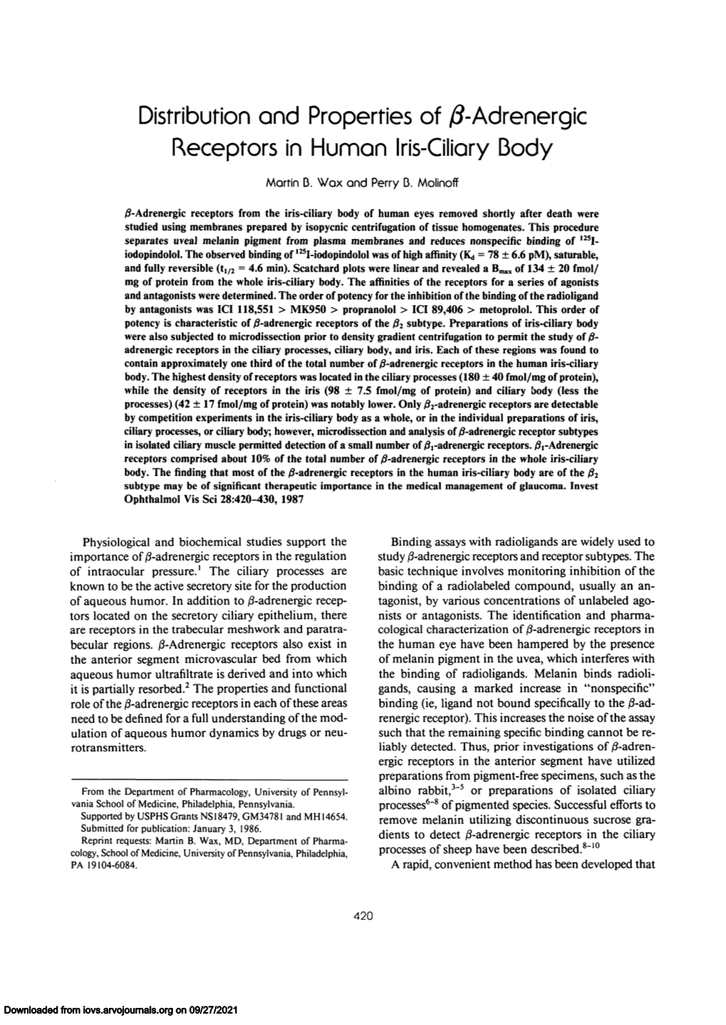 Adrenergic Receptors in Human Iris-Ciliary Body