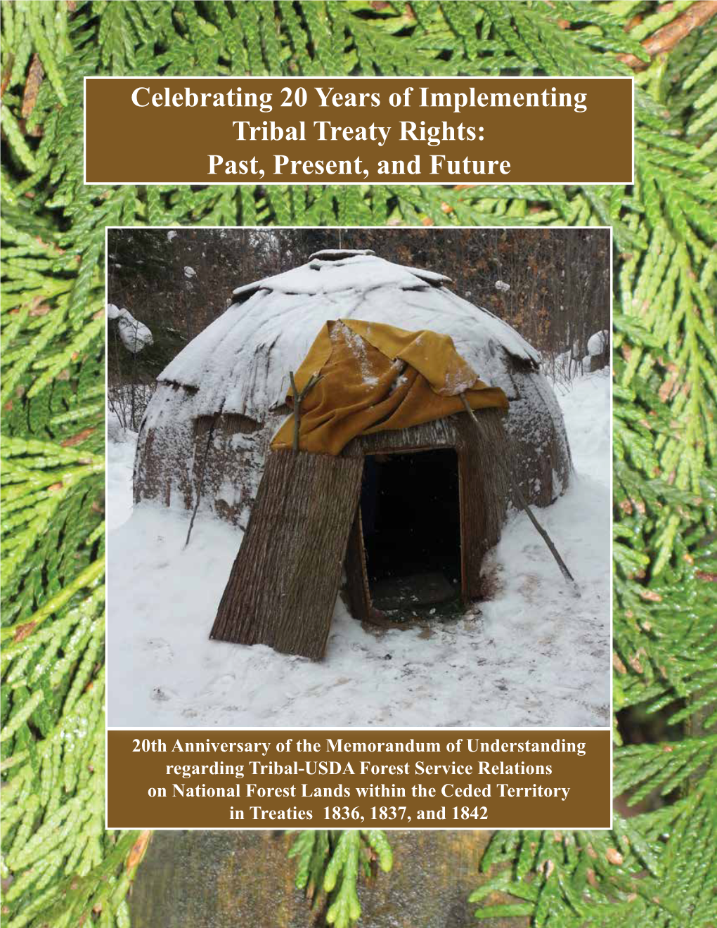 Celebrating 20 Years of Implementing Tribal Treaty Rights: Past, Present, and Future