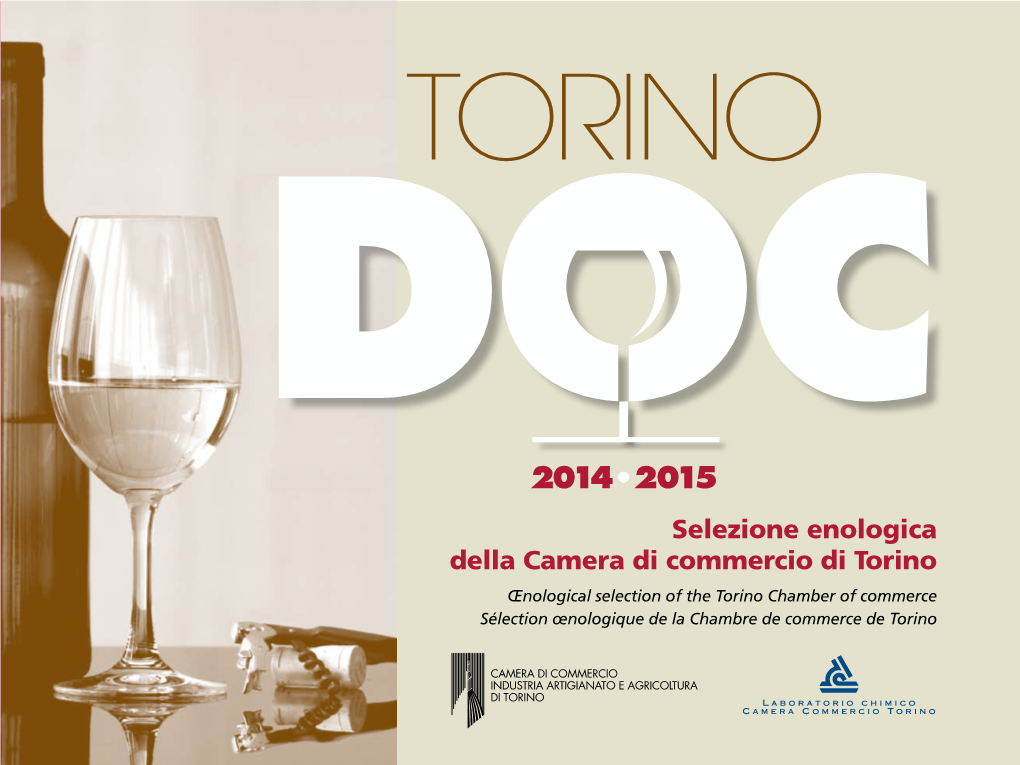 Torino DOC 2014-2015