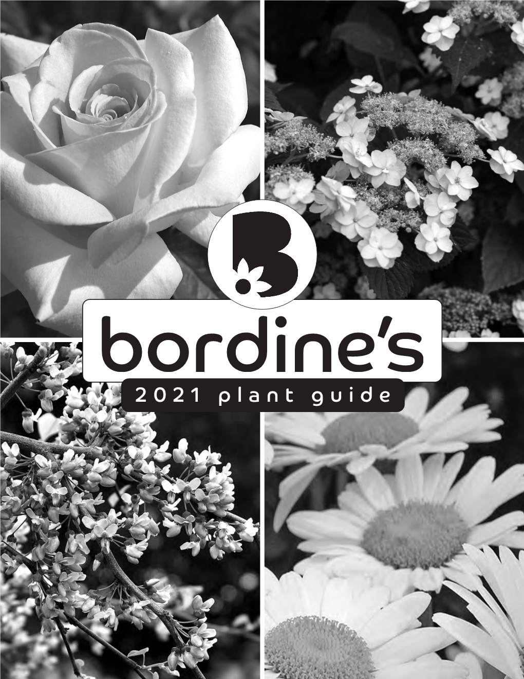 2021 Plant Guide Useful Tools