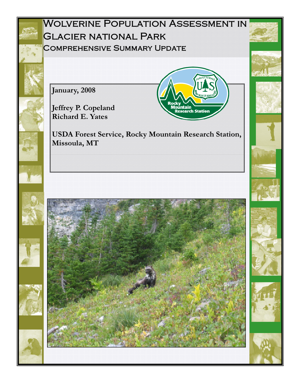 Wolverine Population Assessment in Glacier National Park Comprehensive Summary Update