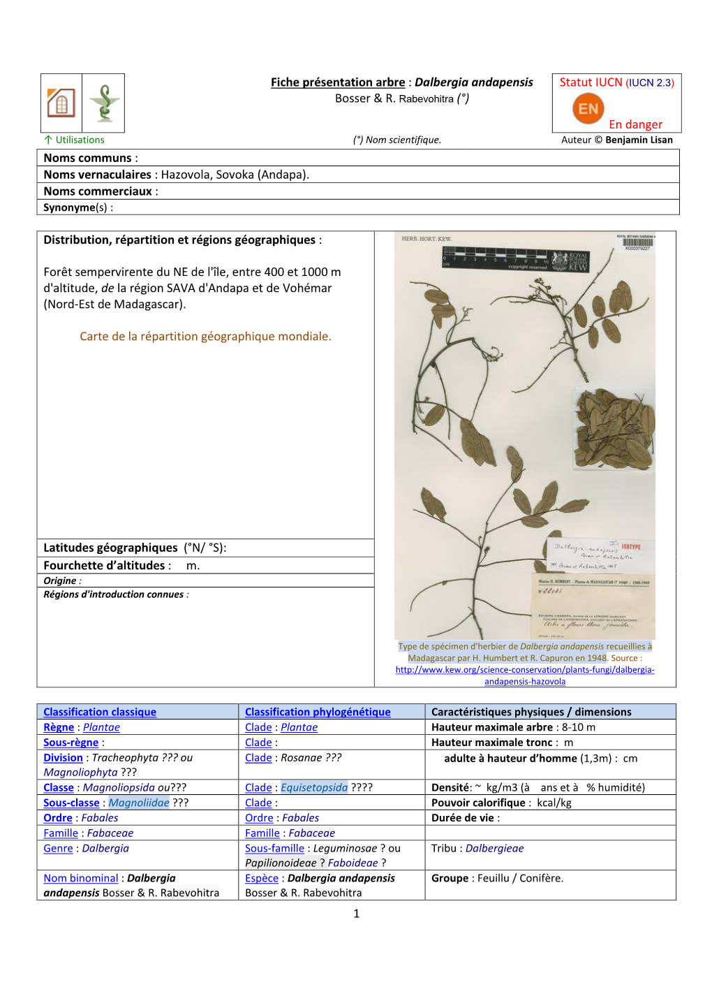 1 Fiche Présentation Arbre : Dalbergia Andapensis Bosser & R