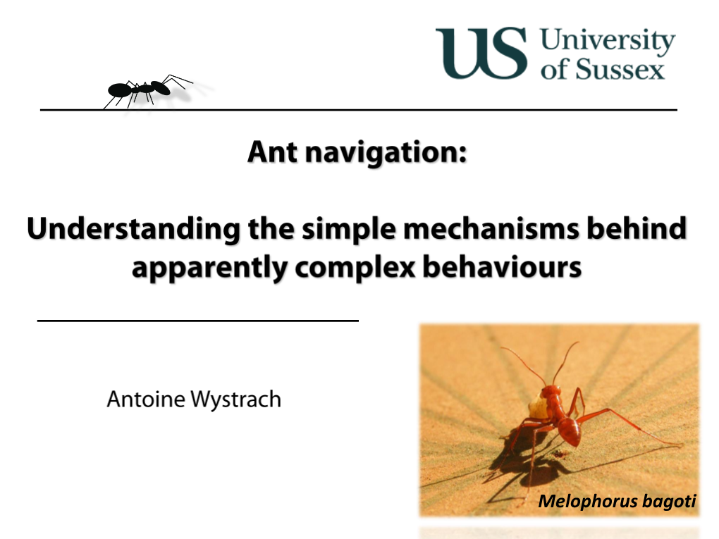 Melophorus Bagoti Navigational Mechanisms Central Place Foragers