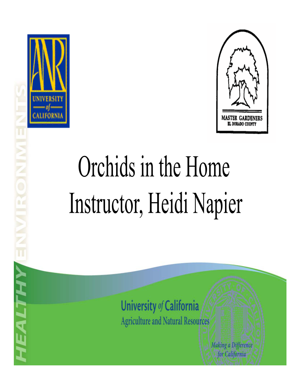 Orchids in the Home Instructor, Heidi Napier History