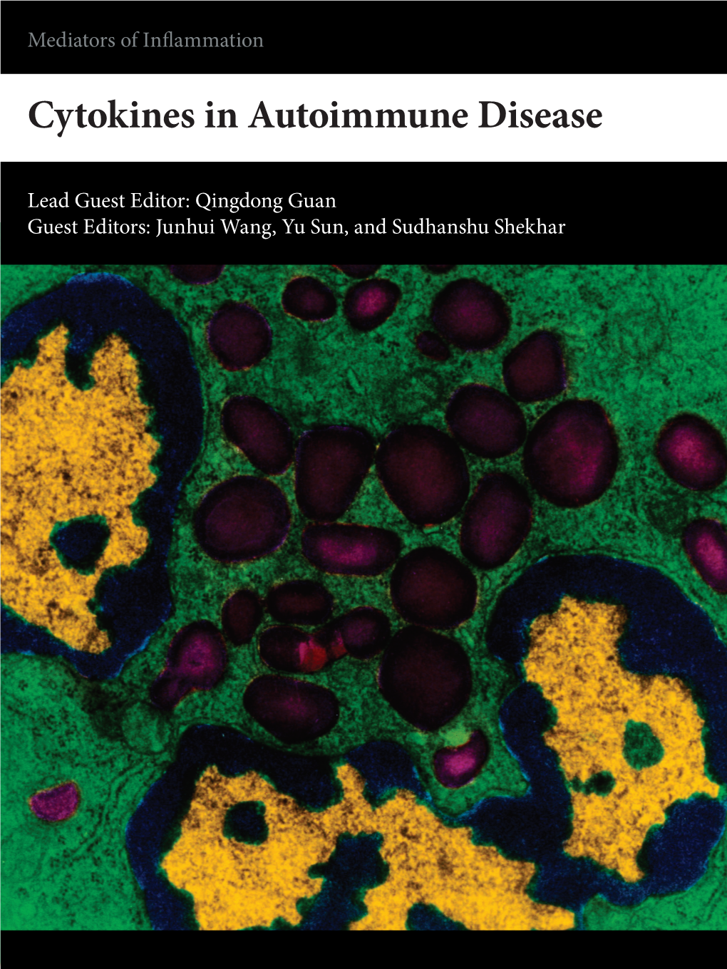 Cytokines in Autoimmune Disease