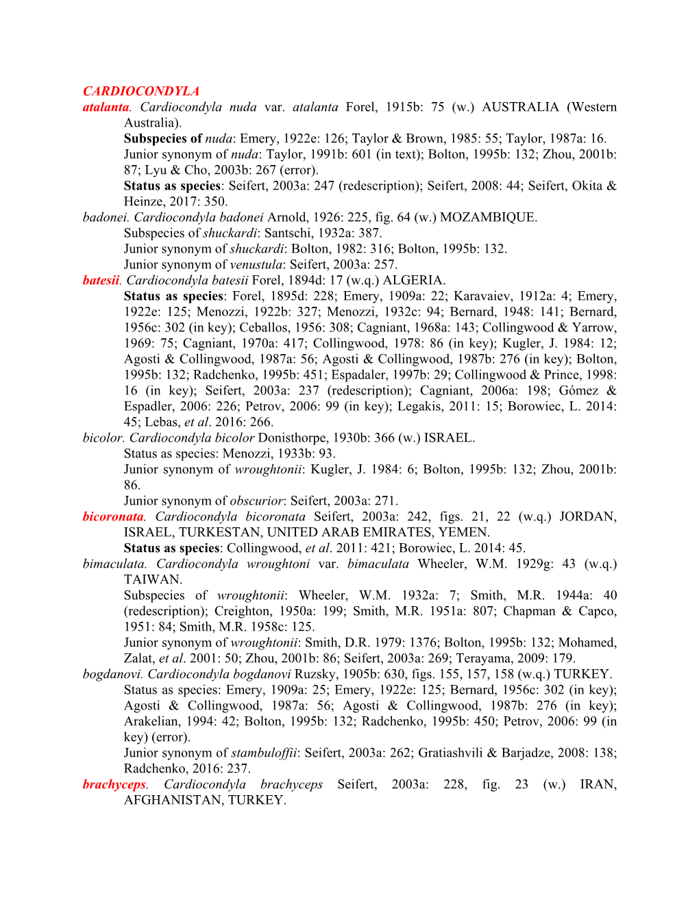 CARDIOCONDYLA Atalanta