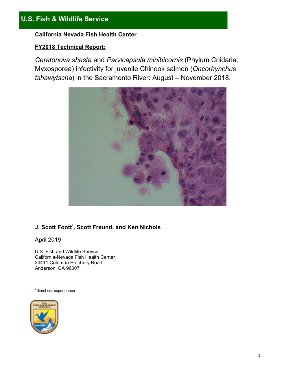 Ceratonova Shasta and Parvicapsula Minibicornis (Phylum Cnidaria: Myxosporea) Infectivity for Juvenile Chinook Salmon (Oncorhync