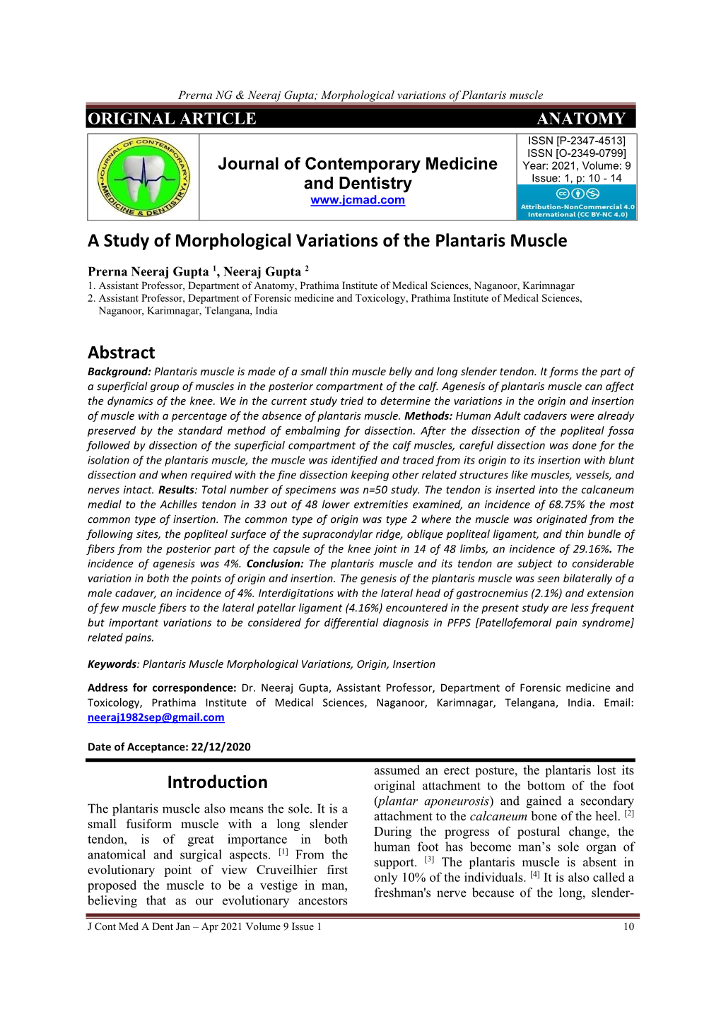 A Study of Morphological Variations of the Plantaris Muscle Abstract Introduction