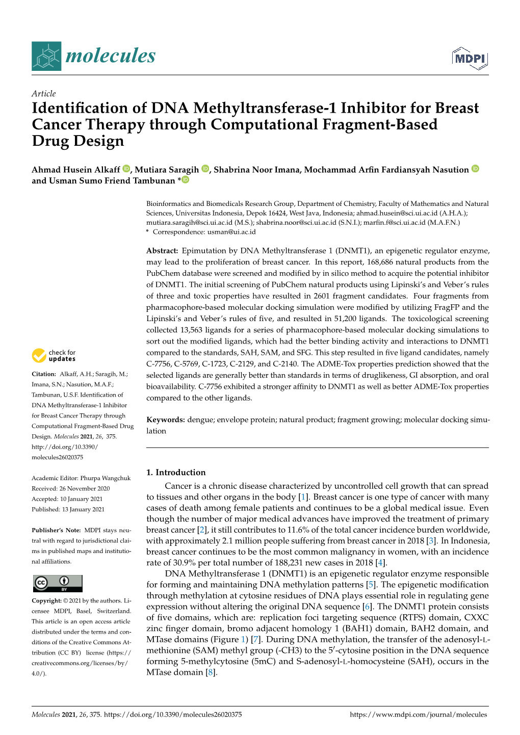 Identification of DNA Methyltransferase-1 Inhibitor For