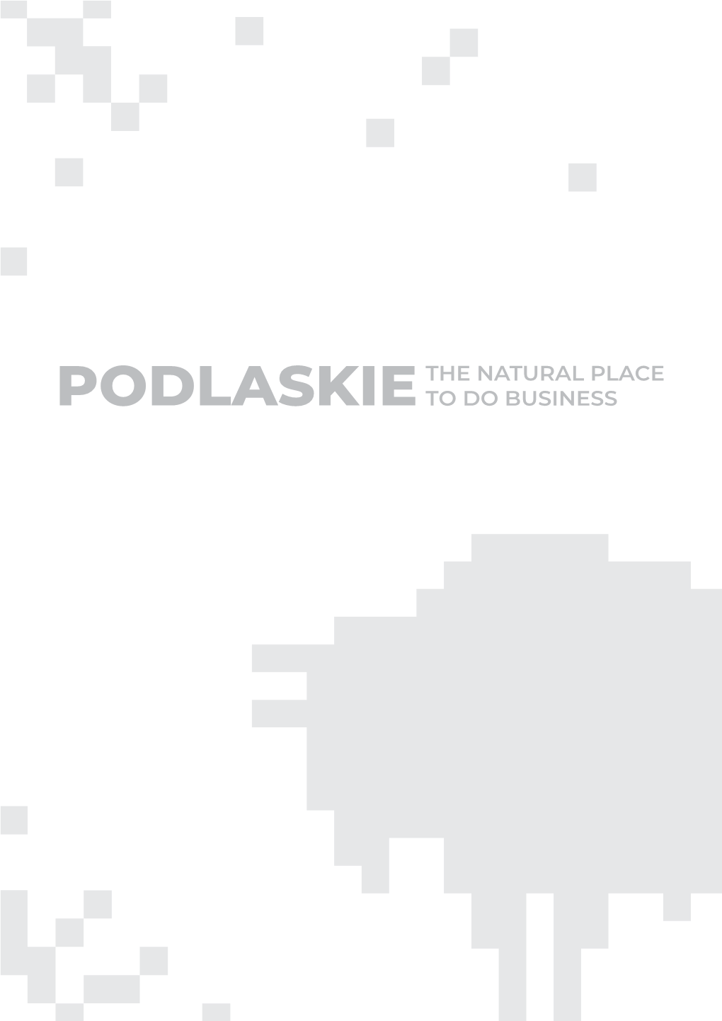 Invest in Podlaskie Voivodeship for Investors in the Logistics and Production Creating Jobs