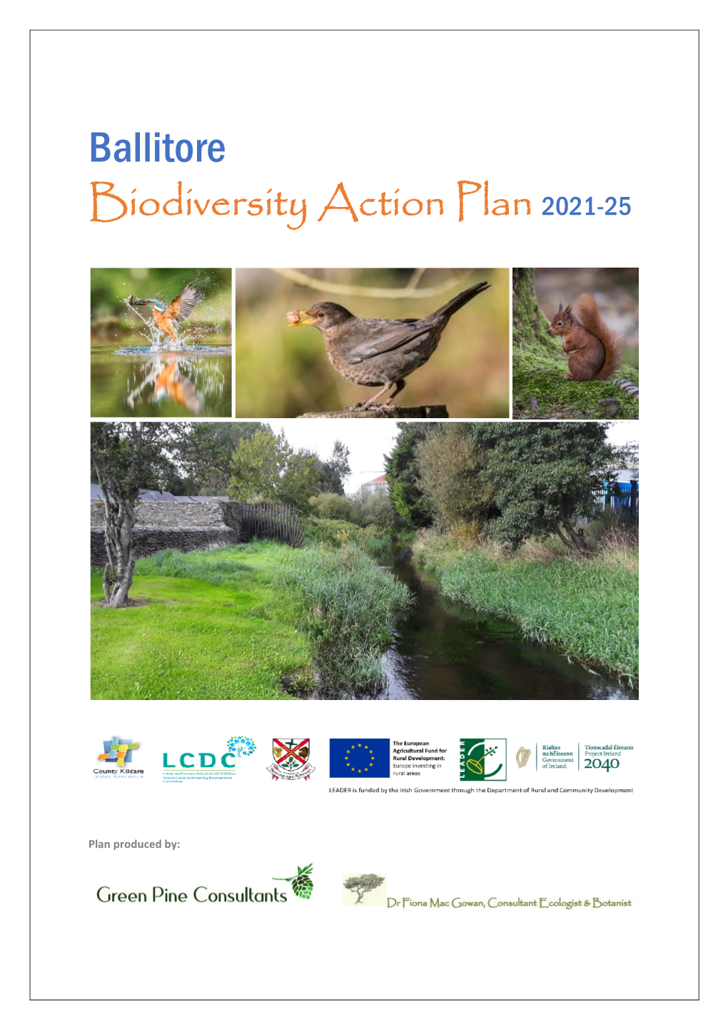 Ballitore Biodiversity Action Plan 2021