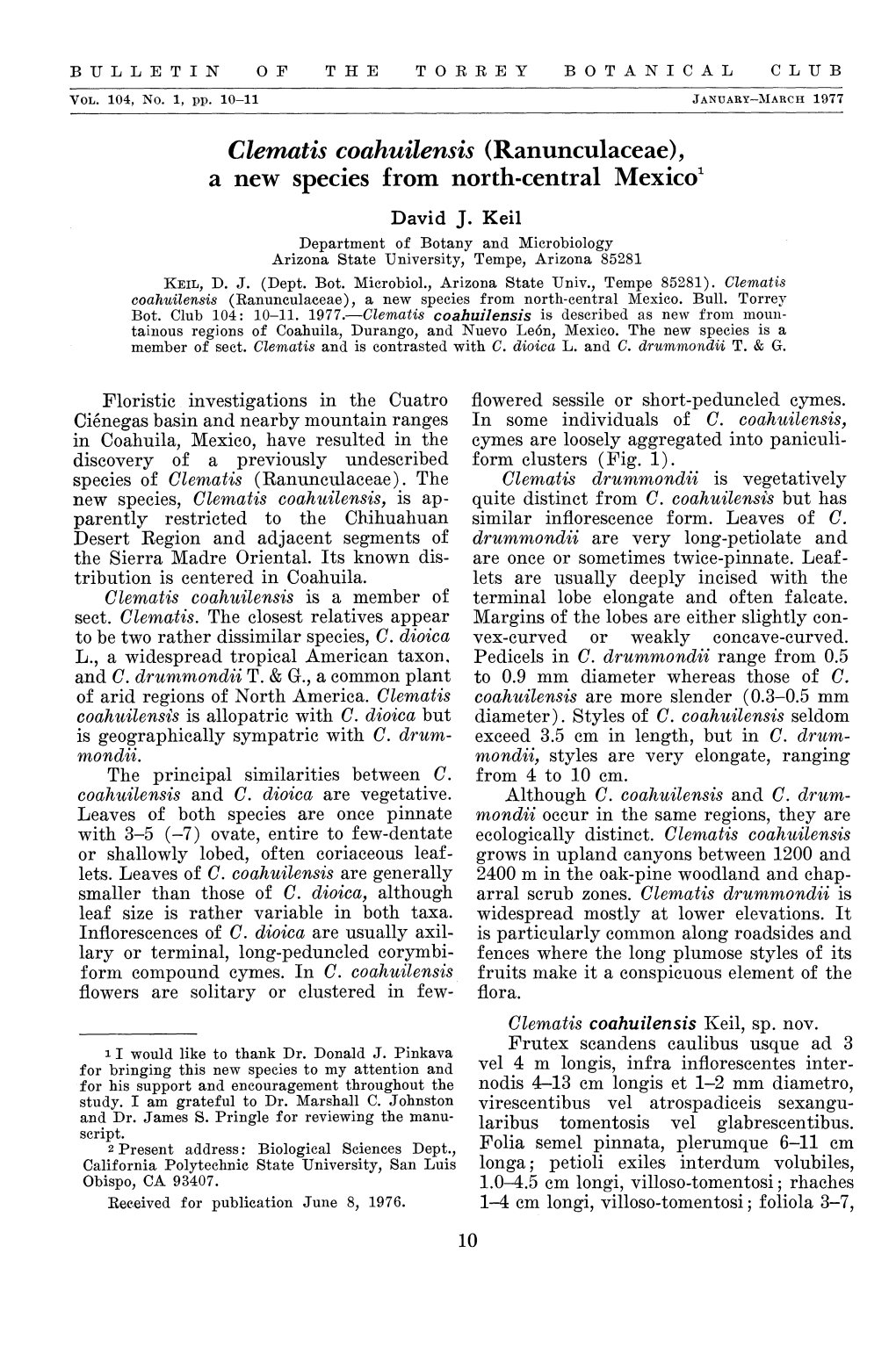 Clematis Coahuilensis (Ranunculaceae), a New Species from North-Central Mexico1 David J