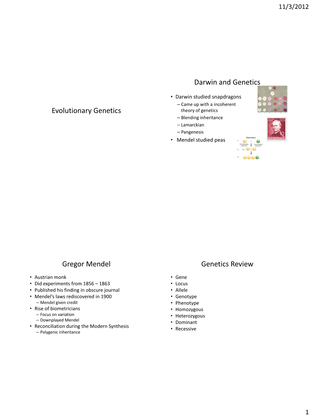 Evolutionary Genetics Theory of Genetics – Blending Inheritance – Lamarckian – Pangenesis • Mendel Studied Peas