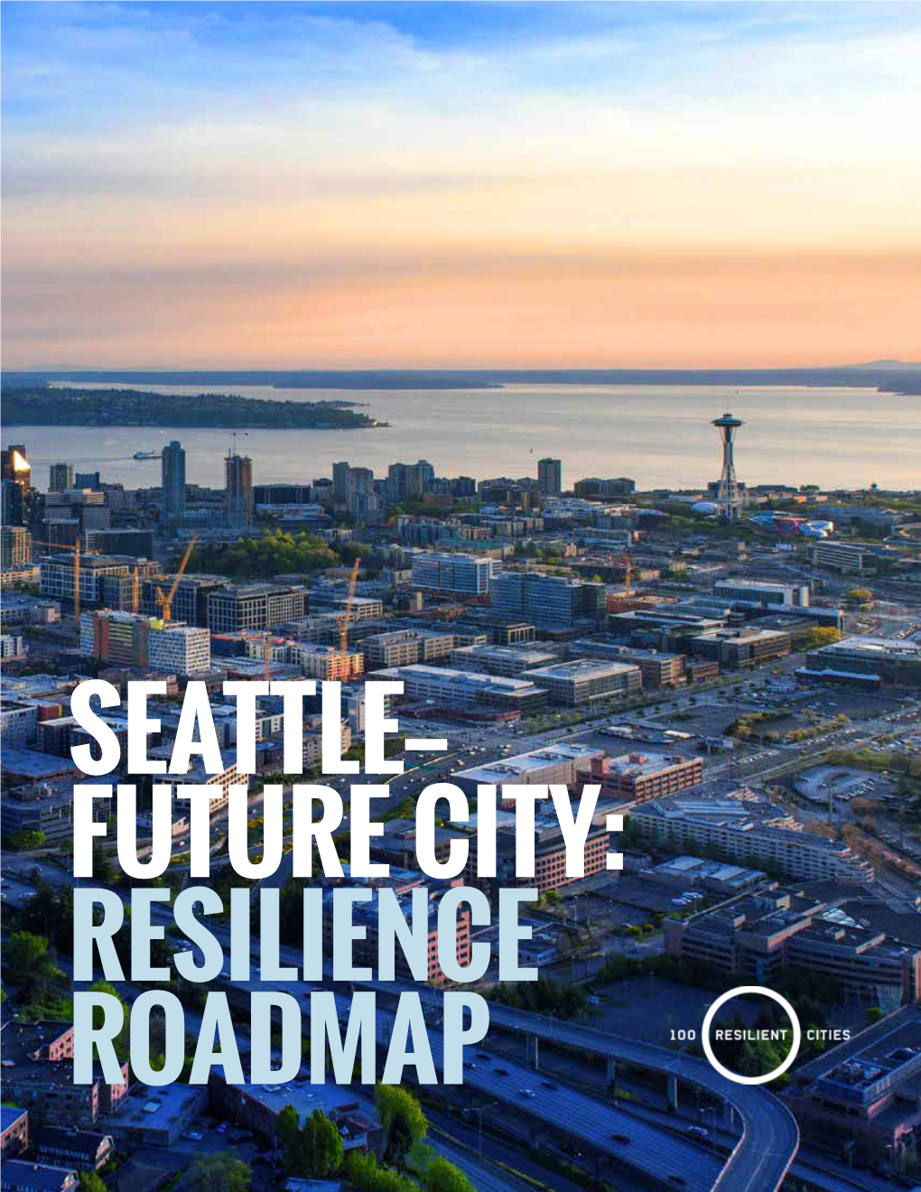 Future City: Resilience Roadmap