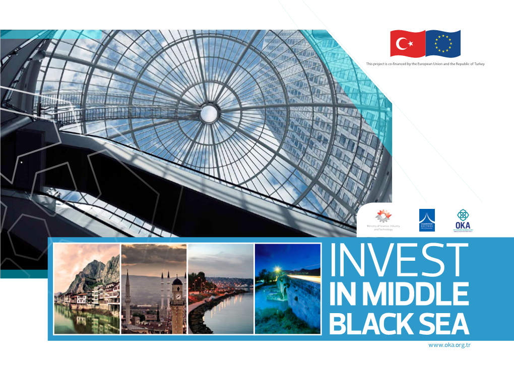 IN MIDDLE BLACK SEA INVEST in MIDDLE BLACK SEA INDEX Turkey, Country of Opportunities 4