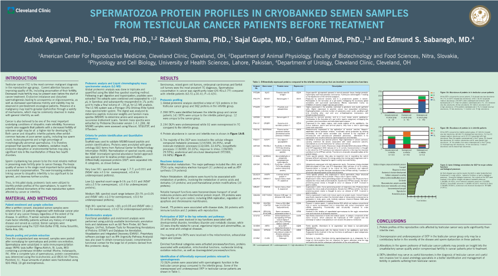 Spermatozoa Protein Profiles in Cryobanked Semen Samples A