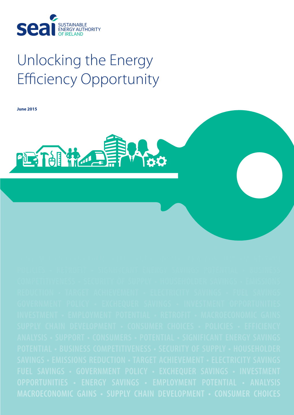 Unlocking the Energy Efficiency Opportunity