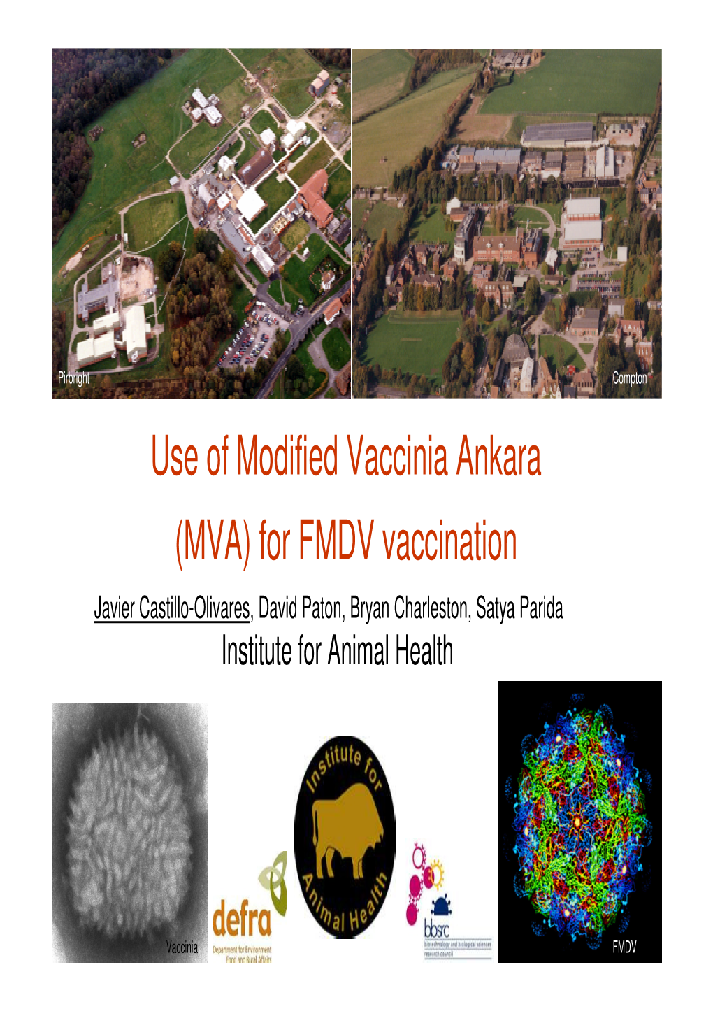 Use of Modified Vaccinia Ankara (MVA) for FMDV Vaccination Javier Castillo-Olivares , David Paton, Bryan Charleston, Satya Parida Institute for Animal Health