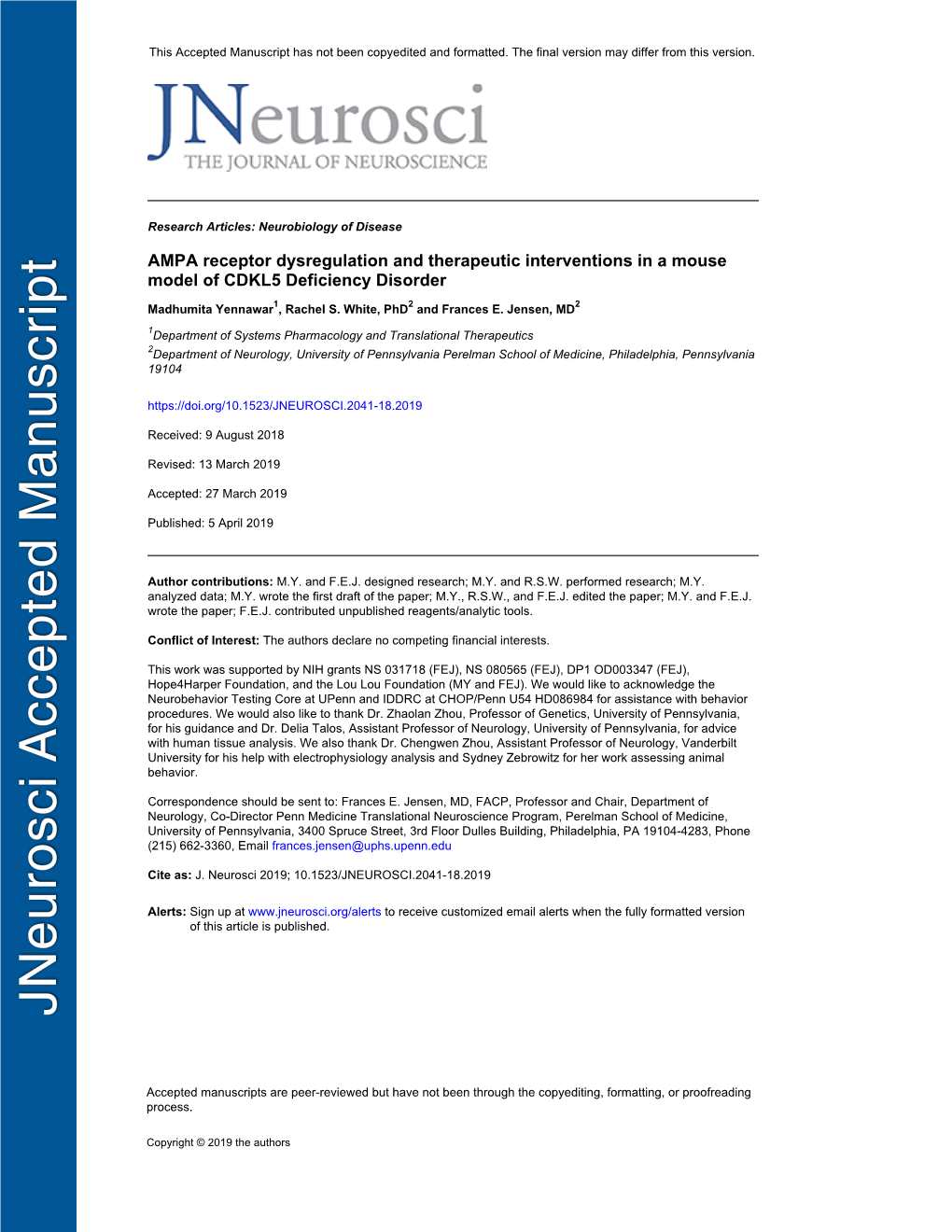 AMPA Receptor Dysregulation and Therapeutic Interventions in a Mouse Model of CDKL5 Deficiency Disorder